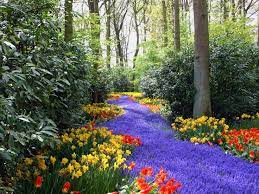 Paisajes Spring Flowers Wallpaper Beautiful Flowers Free Spring Wallpaper