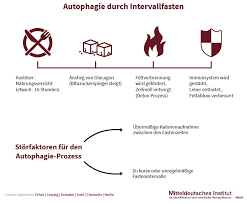 25.02.2021 · quellen · 20 min. Intervallfasten Abnehmen Mit Der Hirschhausen Diat