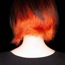 Maybe you would like to learn more about one of these? Orange Hair Ideas To Try In 2021 All Things Hair Ph