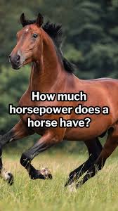 What Is Horsepower? | Carmoney