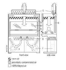Labs are responsible for arranging decontamination. Schematic Diagram Of A Class Ii B1 Biological Safety Cabinet A Front Download Scientific Diagram