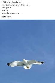 S N Gulll Adli Kullanicinin Fakat Sonbahar Kendisi Sairdir Panosundaki Pin Guzel Soz Edebiyat Ozlu Sozler