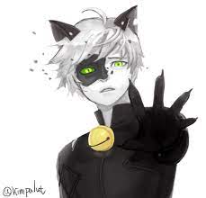 Pin On The Miraculous Tale Of A Ladybug And A Cat