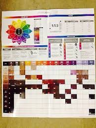 Paul Mitchell Pm Shines Colors Chart Sbiroregon Org