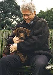 A stray cat rescued by the clinton's daughter, chelsea, socks lived in the governor s mansion in arkansas and later moved with the family to the white house. The Clinton Pets Buddy And Socks America Comes Alive