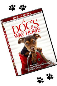This one is a real tearjerker. A Dogs Way Home Movie Review Giveaway Home Movies A Dogs Purpose Movies