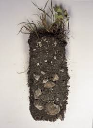Lime And Liming Rhs Gardening