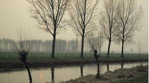 Maybe you would like to learn more about one of these? Ragbu02v48vxdm