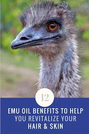 12 Emu Oil Benefits To Help You Revitalize Your Hair Skin Emu Oil Benefits Emu Oil Organic Skin Care