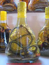 Snail oil or zait al hayee fortifies the hair and restores the thickness of the hair too fine. Processed Unprocessed Poisonous Snake Oil By Soscam Oil Suppliers Co Ltd Id 355795