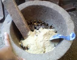 Itik alabio adalah itik yang berasal dari kabupaten hulu sungai utara, propinsi kalimantan selatan. Cara Mengolah Keong Sawah Untuk Pakan Bebek Agrokompleks Kita