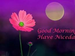 Good Morning Images For Facebook Whatsapp Free Download Good Morning Images In 2020 Good Morning Images Morning Quotes Images Good Morning Gif