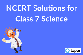 We did not find results for: Ncert Solutions For Class 7 Science Chapter Wise Free Pdf Download