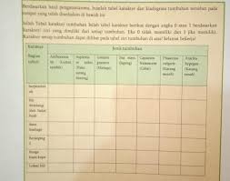 Pembuatan genogram ini sangat berguna ketika diaplikasikan/ dibuat pada saat pertama pertemuan. Buatlah Tabel Karakter Dan Kladogram Tumbuhan Tersebut Berdasarkan Yang Telah Disediakan Di Bawah Brainly Co Id