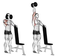 Supported Standing One Arm Dumbbell Shoulder Press Dumbbell Shoulder Press Shoulder Workout Deltoid Workout