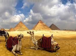 It has two humps and are mostly domesticated. Camel Ride Trip At The Open Desert Of Giza Pyramids From Cairo 2021 Happytovisit Com