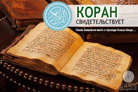 текст при наведении