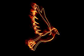Bereits im alten testament ist feuer zeichen für die nähe gottes; Taube Feuer Pfingsten Heiliger Kostenloses Bild Auf Pixabay