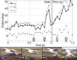 Maybe you would like to learn more about one of these? Angle Of Attack Flight Path Angle And Pitch Angle Of An Owl During A Download Scientific Diagram