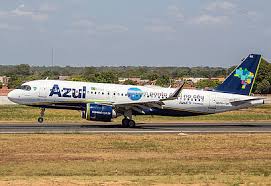 Image result for Azul Sky 1985 Fleet