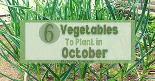 We did not find results for: October Planting Guide 6 Crops You Should Plant In October Our Stoney Acres
