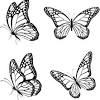 950x719 monarch butterfly coloring sheet monarch butterfly coloring page. 1