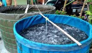 Membuat Kolam Terpal