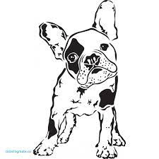 Maybe you would like to learn more about one of these? French Bulldog Puppy Coloring Pages Novocom Top