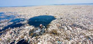 Wie ich begonnen habe verantwortung zu übernehmen und ein eigenes projekt gegen plastik gestartet habe. 8 Plastikmull Ozean Ideen Plastik Mull Plastik Im Meer