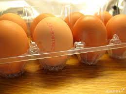 Chov a predaj domácej hydiny Oplati Sa Citat Obaly Potravin Napriklad U Vajec Delikatesy