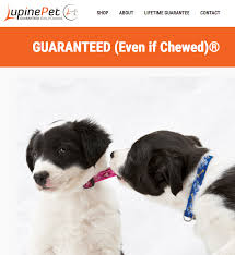 Lupine dogs are 'classified' by w.o.l.f. 9 Ways To Differentiate Yourself From Your Competition