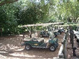 Check spelling or type a new query. Walt Disney World Transportation Golf Carts Taxis Rideshares And Main Street Usa Vehicles Allears Net