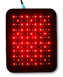 Equine Canine Light Therapy According To Gospel Equine Light Therapy Canine Light Therapy