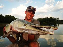 Carp fishing, feeder fishing, fishing with live bait, float fishing, jigging, match fishing, spinning. Florida S Alligator Gar Florida Rv Trade Associationflorida Rv Trade Association