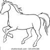 All the best arabian horse drawing 39+ collected on this page. Https Encrypted Tbn0 Gstatic Com Images Q Tbn And9gctk0cdjkypzwegrmtzsnjjr Kyltvaxb5fakqgzmo Fhfvr4ak4 Usqp Cau