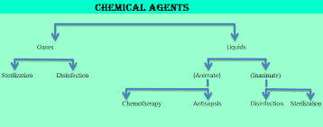 Chemical And Gas 1 Referred To As Cold Sterilization Halogens Agents Chlorine Iodine Quaternary Ammonium Compound Chemical Cell Membrane Osmotic Pressure