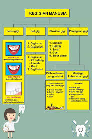 Selain berfungsi untuk menghaluskan makanan, gigi juga berfungsi untuk estetika wajah. Nota Sains Tahun 6 Smart Mind Home Centre Sabak Bernam Facebook