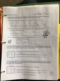 Spongebob is heterozygous for his square shape, but spongesusie is homozygous for her round shape. My Science Teacher Using Spongebob To Explain Genetics Memes