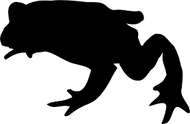 Download Svg Animal Frog Reptile Outline Free Svg Image Icon Svg Silh