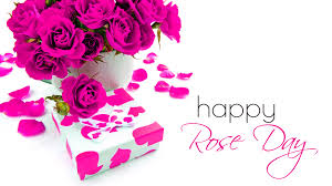 Contact rose day images on messenger. 7th Feb Rose Day Wallpaper Hd All Color Of Roses For Lover Friends
