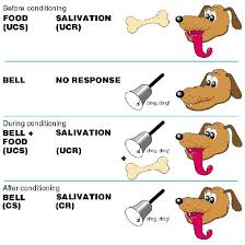 Pavlov S Dogs Simply Psychology Operant Conditioning Psychology Classical Conditioning Psychology