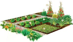 plan de potager vilmorin pour debutants potager plan potager plan jardin
