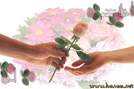 Image result for tbn:NPPRMe2lt8--qM::gallery.dll3.com/data/media/5/mw40_L.jpg