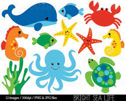 Sea Animal Clipart Under The Sea Baby Sea Creatures Clip Etsy Clip Art Digital Clip Art Set Cartoon Sea Animals