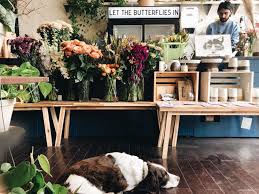 Cherry lane orchards cherry lane is cash only—although they'll trade cherries for fish! The 13 Best Flower Shops In Denver