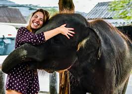 He rolled on the ground and from his. 92 Baby Elephant Photos Videos And Facts That Ll Make You Go Awww Everywhere Wild