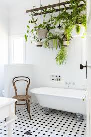 5 réalisations et conseils par votre conseiller pro. 1001 Idees Pour Votre Plante Pour Salle De Bain Ambiances Spa Et Zen Small Apartment Bathroom Apartment Bathroom Plant Decor Indoor