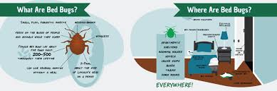 Louis better business bureau, st. Free Bed Bug Inspection St Louis Mo Heat Treatment By Unique Pest Solutions In St Louis Missouri