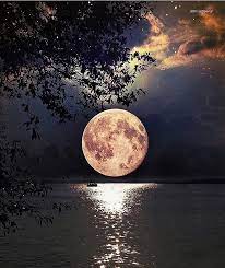 We did not find results for: Pin By Rhayssa Bastos On Moonlight Beautiful Moon Scenery Nature Photography