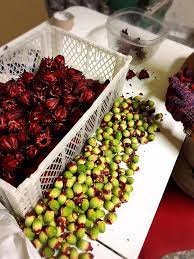 毛茸茸的洛神種子 food fruit strawberry
